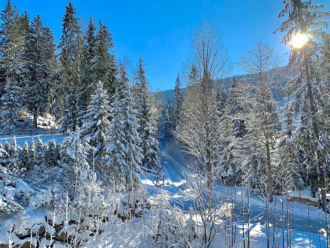 Apartamento Haus Widmann Scheffau am Wilden Kaiser Exterior foto